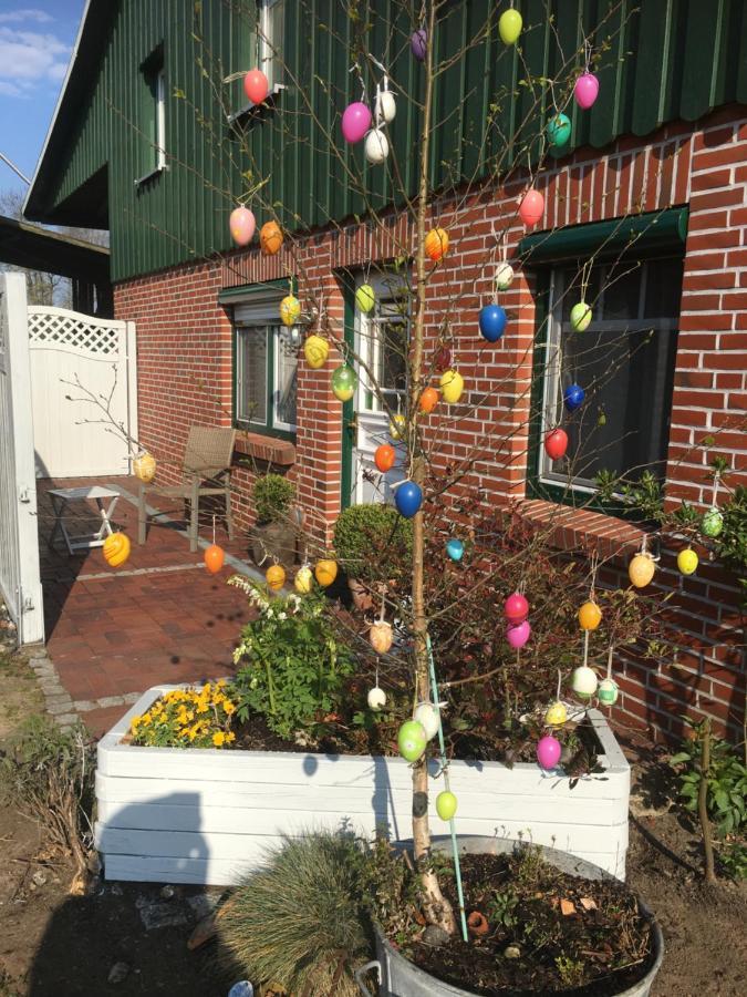 Ferienhaus Staben Eggstedt エクステリア 写真
